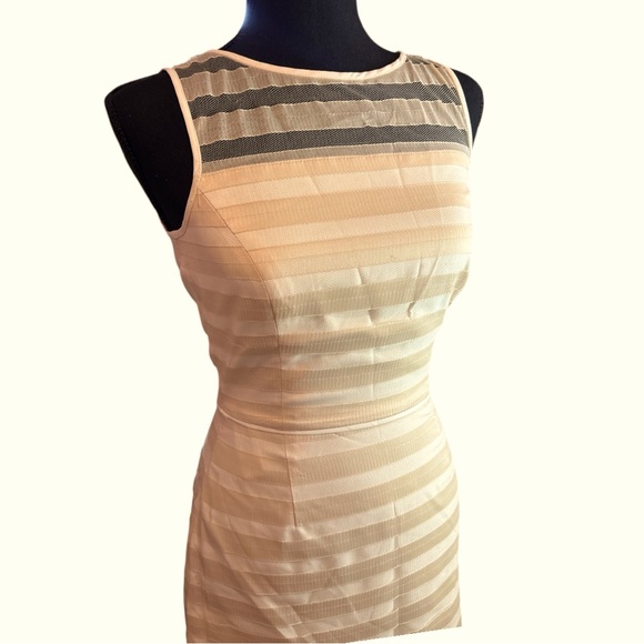 Gianni Bini Blush Pink Mesh Striped Sleeveless Mini Formal Dress w/Slip Sz 0 - Picture 7 of 9